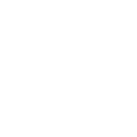 TRUE Original Document QRCODE