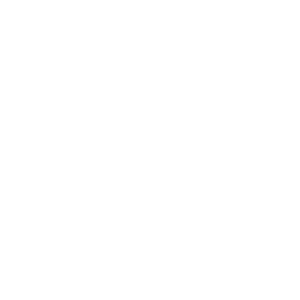 TRUE Original Document QRCODE