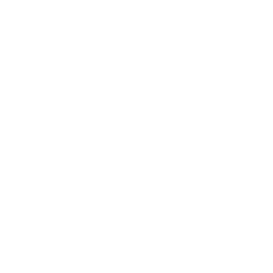 TRUE Original Document QRCODE