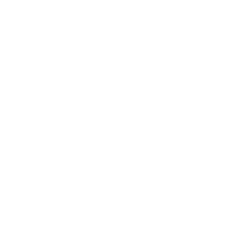 TRUE Original Document QRCODE