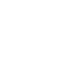 TRUE Original Document QRCODE