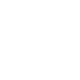 TRUE Original Document QRCODE