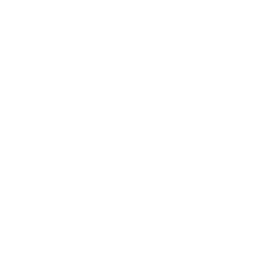TRUE Original Document QRCODE