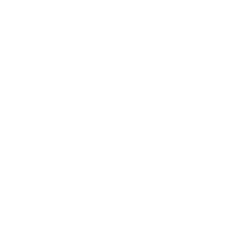 TRUE Original Document QRCODE