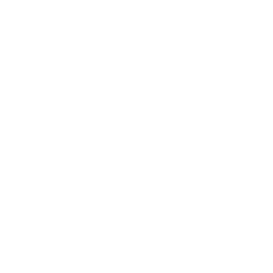 TRUE Original Document QRCODE