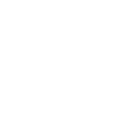 TRUE Original Document QRCODE