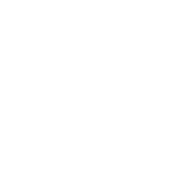 TRUE Original Document QRCODE
