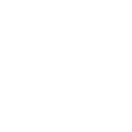 TRUE Original Document QRCODE