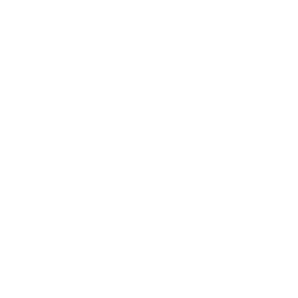TRUE Original Document QRCODE