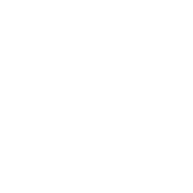 TRUE Original Document QRCODE