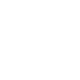 TRUE Original Document QRCODE