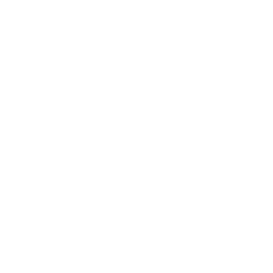 TRUE Original Document QRCODE