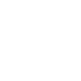TRUE Original Document QRCODE