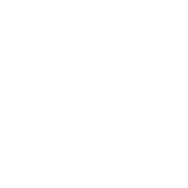 TRUE Original Document QRCODE