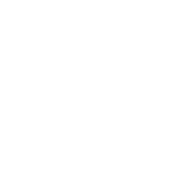 TRUE Original Document QRCODE