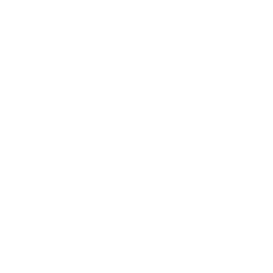 TRUE Original Document QRCODE