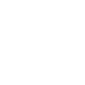 TRUE Original Document QRCODE