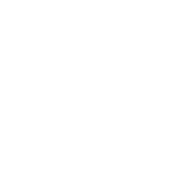 TRUE Original Document QRCODE