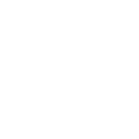 TRUE Original Document QRCODE