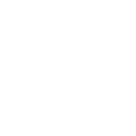 TRUE Original Document QRCODE