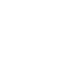 TRUE Original Document QRCODE