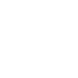 TRUE Original Document QRCODE