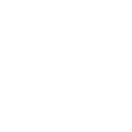 TRUE Original Document QRCODE