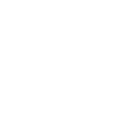 TRUE Original Document QRCODE