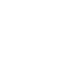TRUE Original Document QRCODE