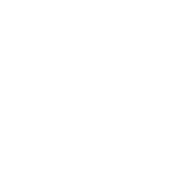 TRUE Original Document QRCODE