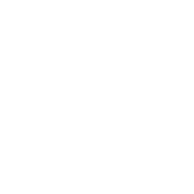 TRUE Original Document QRCODE