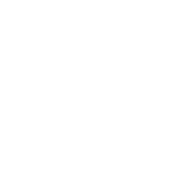 TRUE Original Document QRCODE