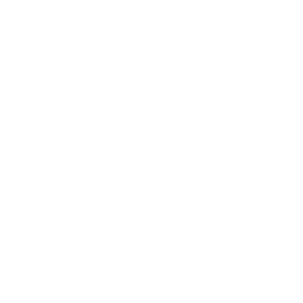 TRUE Original Document QRCODE