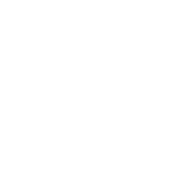 TRUE Original Document QRCODE