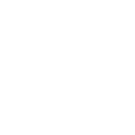 TRUE Original Document QRCODE