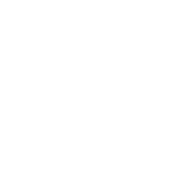 TRUE Original Document QRCODE