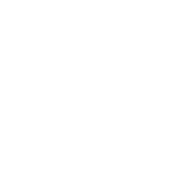 TRUE Original Document QRCODE