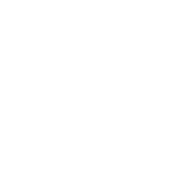 TRUE Original Document QRCODE