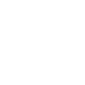 TRUE Original Document QRCODE