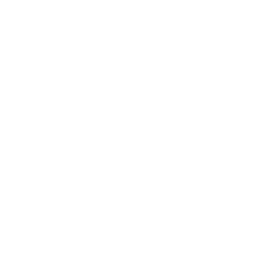 TRUE Original Document QRCODE