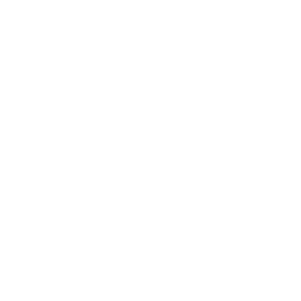 TRUE Original Document QRCODE