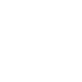 TRUE Original Document QRCODE