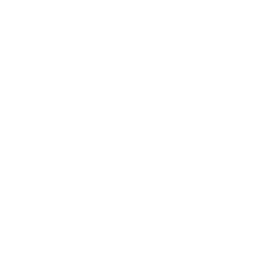 TRUE Original Document QRCODE
