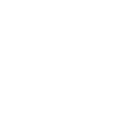TRUE Original Document QRCODE