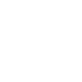 TRUE Original Document QRCODE
