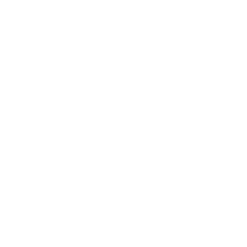 TRUE Original Document QRCODE