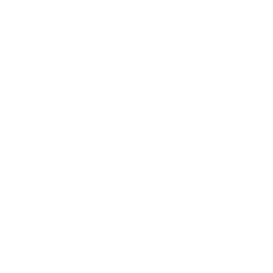 TRUE Original Document QRCODE