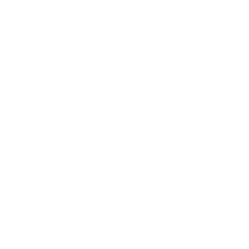 TRUE Original Document QRCODE