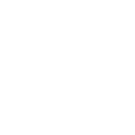 TRUE Original Document QRCODE
