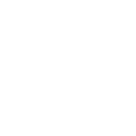TRUE Original Document QRCODE